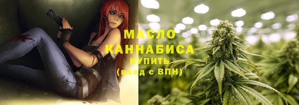 молекула духа Михайлов