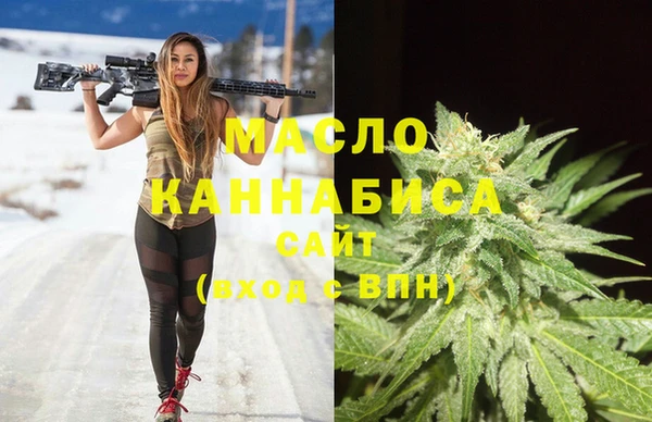 молекула духа Михайлов