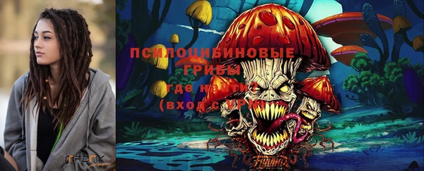 амф Михайловск