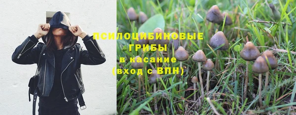 амф Михайловск