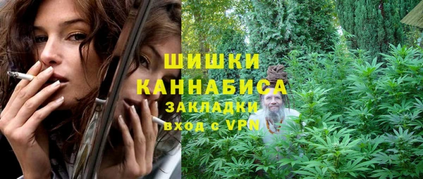 молекула духа Михайлов