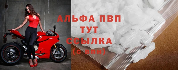 молекула духа Михайлов